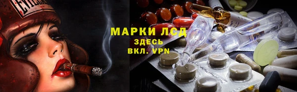 ECSTASY Костерёво