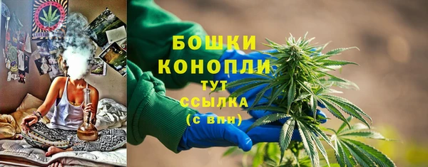 ECSTASY Костерёво