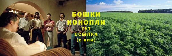 ECSTASY Костерёво