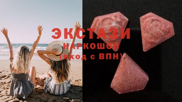ECSTASY Костерёво