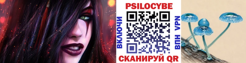 Галлюциногенные грибы Psilocybine cubensis  Купить  Правдинск 