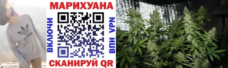 Бошки марихуана семена  Купить  Правдинск 
